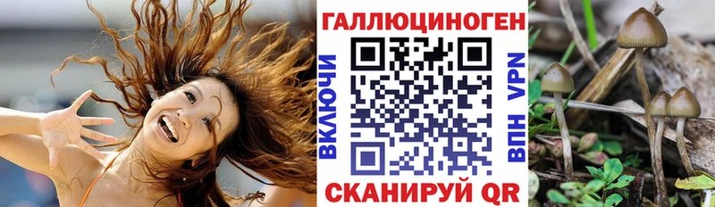 Псилоцибиновые грибы Psilocybine cubensis  Камбарка 